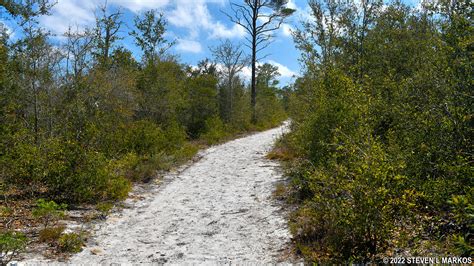 Gulf Islands National Seashore (Florida) | OLD BORROW PIT TRAIL