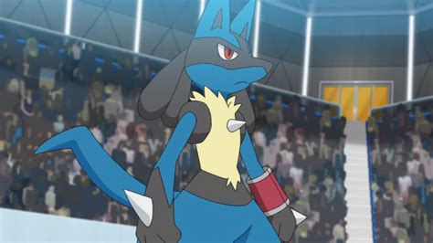 Korrina's Lucario (anime) | Pokémon Wiki | FANDOM powered by Wikia