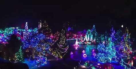 VanDusen Festival of Lights • British Columbia Magazine