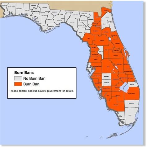 Florida on fire: 125 active blazes, 'Worst wildfire season' — Earth ...