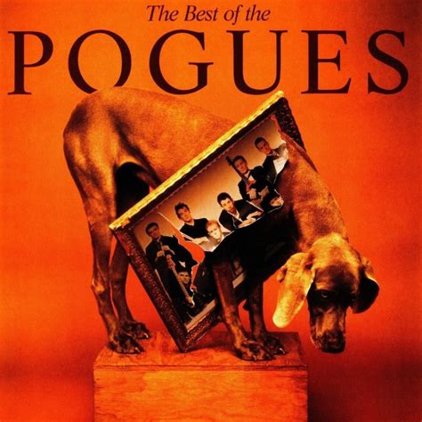 The Pogues – The Best Of (Vinyl) | MusicZone | Vinyl Records Cork ...