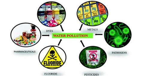 Sources of water contamination (Kumar Reddy and Lee 2012) | Download Scientific Diagram