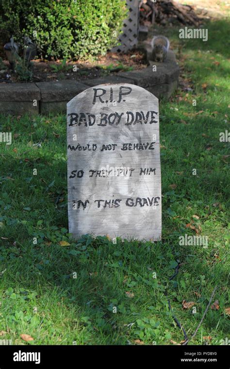 RIP bad boy Dave, he did not behave so they put him in this grave ...