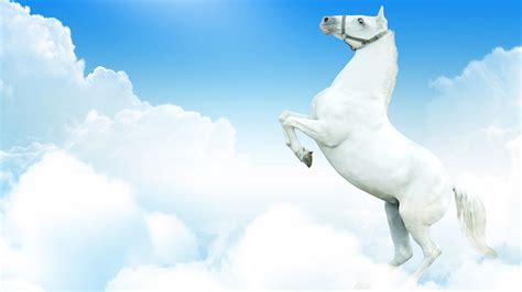 White Horse Wallpapers - Wallpaper Cave