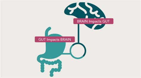 Gut-Brain: Why Your Gut Is Called Your 'Second Brain' - Micronutrients.com