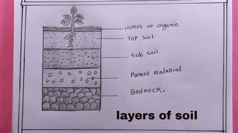 Soil Profile Diagram Worksheet