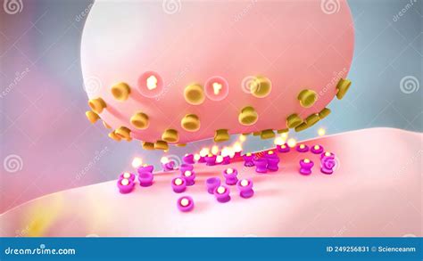 Neurotransmitters are Chemical Messengers in the Body Stock Illustration - Illustration of ...