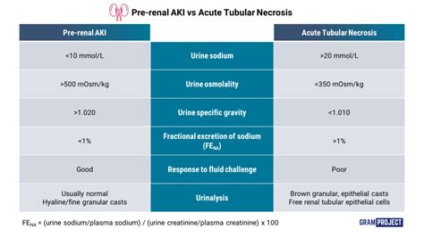 Pre-renal AKI vs Acute Tubular Necrosis - Gram Project