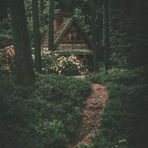 cottage baby | Cottage, Nature aesthetic, Cottage in the woods