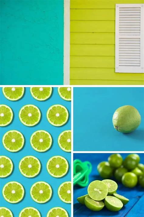 These 7 Colors That Go With Lime Green Show Off The Versatility Of Color Combinations