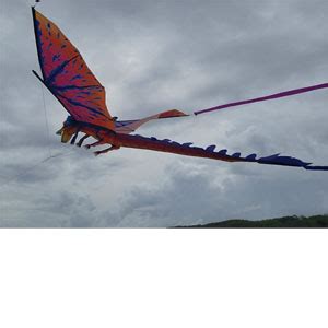 3-D Giant Dragon Kite - 10 ft Wingspan | Funwithwind Kites