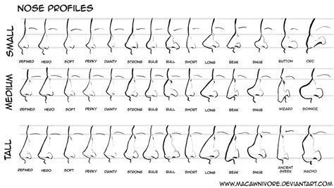 Cristina Draws | Nose drawing, Nose types, Nose