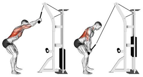 cable pulldown machine exercises - Albina Bagley