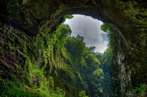 Cavernas de Camuy, Puerto Rico | El yunque national forest, El yunque ...