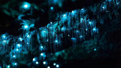 Glowworms in Motion - A Time-lapse of NZ's Glowworm Caves in 4K - YouTube