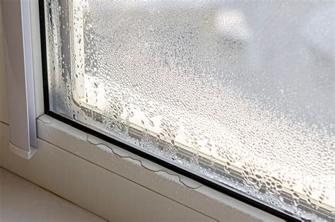 The Window Man-Education: What Causes Condensation on Windows