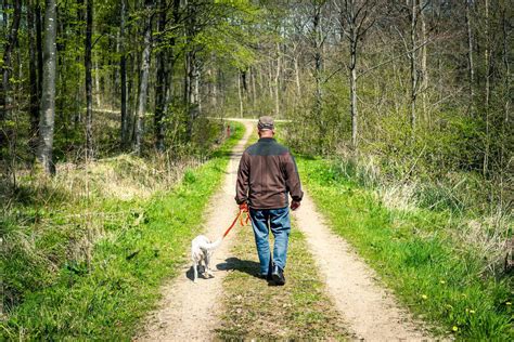 Man walking with his dog | Stock image | Colourbox