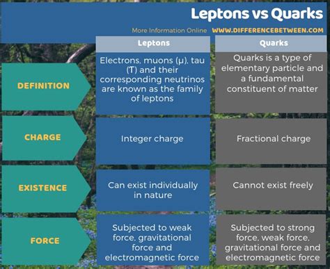 Difference Between Leptons and Quarks | Compare the Difference Between ...