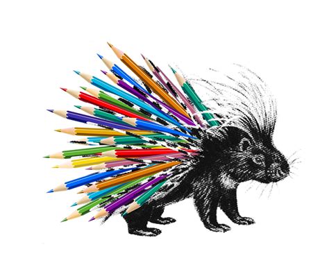 Porcupine-Quills