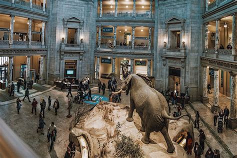 Exclusive Smithsonian Natural History Private Tour: VIP Guided Exploration