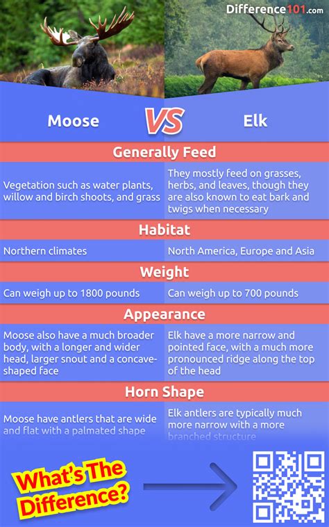 Elk Weight Chart | Blog Dandk