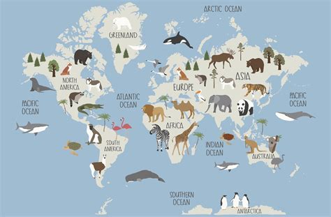 Animals of the World Map Wall Decal, Peel and Stick, Kids World Map Wa