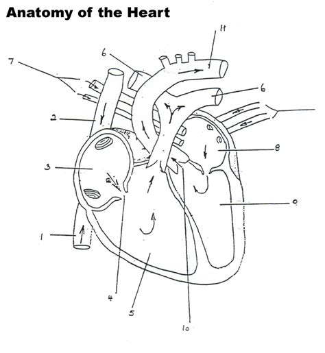 The best free Diagram drawing images. Download from 3558 free drawings of Diagram at GetDrawings