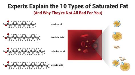 Experts Explain the 10 Types of Saturated Fat (And Why They’re Not All Bad For You)