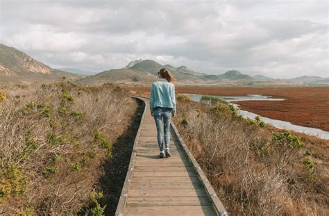 Morro Bay Camping Guide: Best & Most Scenic Morro Bay Campgrounds