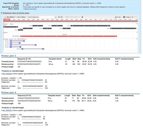 Tips and tricks to design and test qPCR primers - advanced procedure