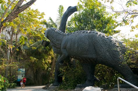 Samut Prakan Crocodile Farm and Zoo near Bangkok, Thailand: ticket price - Planet of Hotels