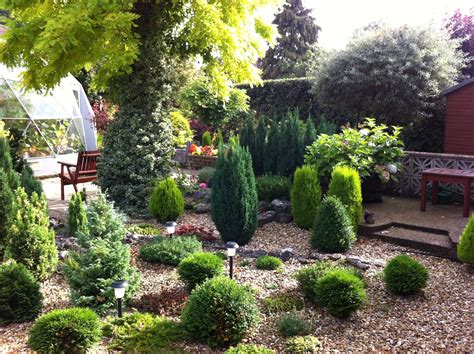 Dwarf conifers | Dwarf conifers, Japanese garden, Conifers