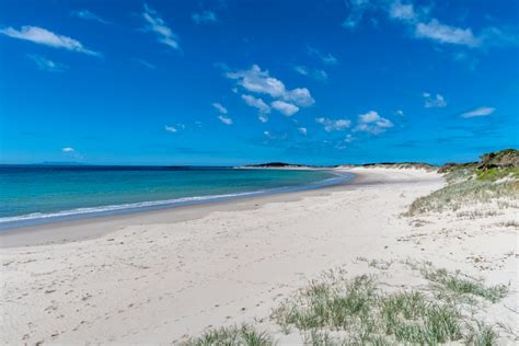 Free stock photo of beach, tasmania