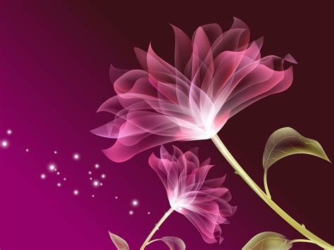 Flower Background Hd Wallpaper Full | Best Flower Site