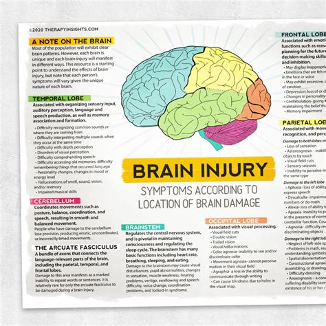 Printable Resource Brain Injury Symptoms According to Location of Brain ...