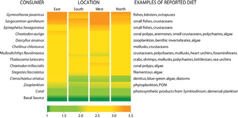 comparison of trophic positions of coral reef fishes sampled from ...