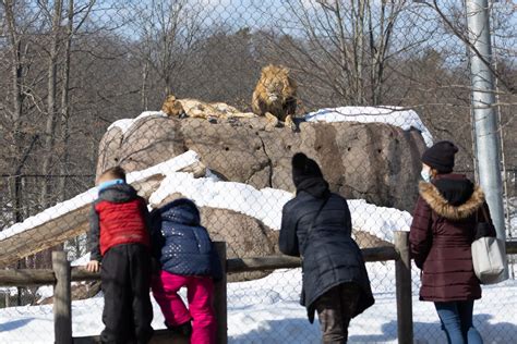 Free Youth February | Seneca Park Zoo