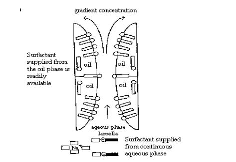 9: The Gibbs-Marangoni effect (Porter, 1994) | Download Scientific Diagram