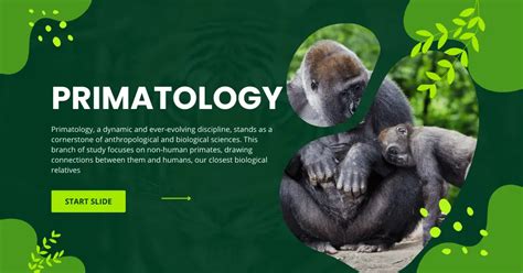 Introduction to Primatology | Anthroholic