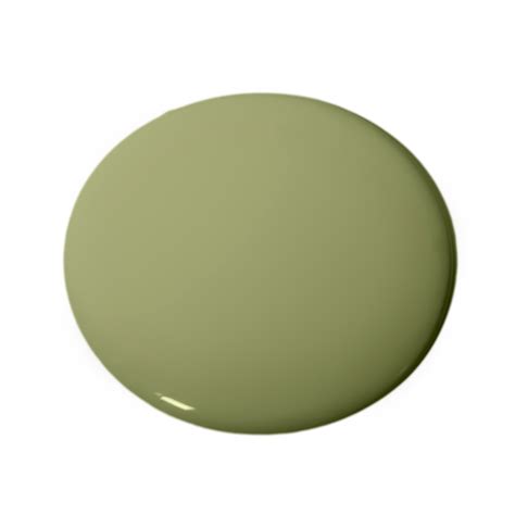 Olive 243 Essential Paint Colors