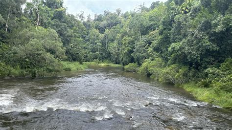 Kayaker death South Johnstone river: rescue operation retrieves body ...