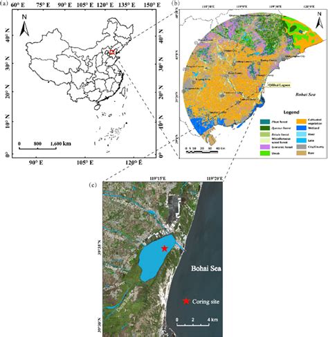 (a) Location of the study area in China; (b) Vegetation distribution ...