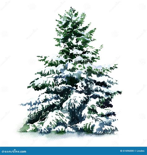 Christmas Tree Covered Snow In Winter, Isolated Stock Illustration - Image: 61696000