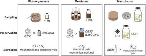 Recommended methods for sampling, preservation and extraction of... | Download Scientific Diagram