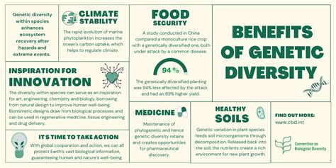 Genetic Diversity: The Hidden Secret of Life | Convention on Biological ...