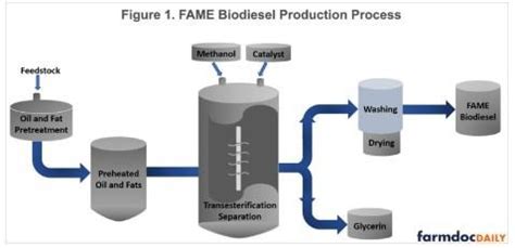 Biodiesel and Renewable Diesel: What’s the Difference? | Farms.com