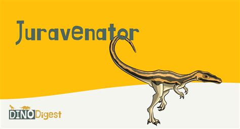 The Juravenator: Not A Bird | Dino Digest