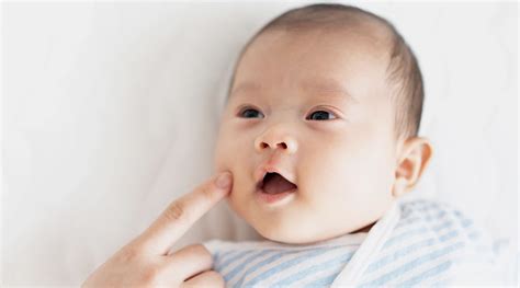 What Is the Rooting Reflex in Babies?