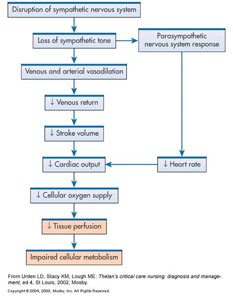 Neurogenic SHOCK | Tr-I-LIfe