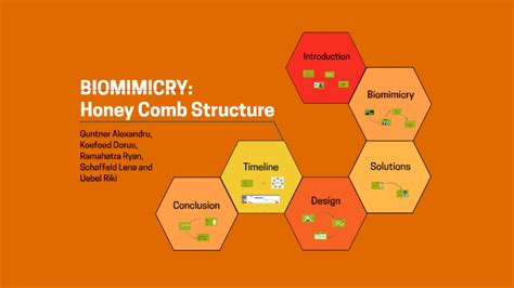 Honey Comb Structure by Alexandru Guntner on Prezi